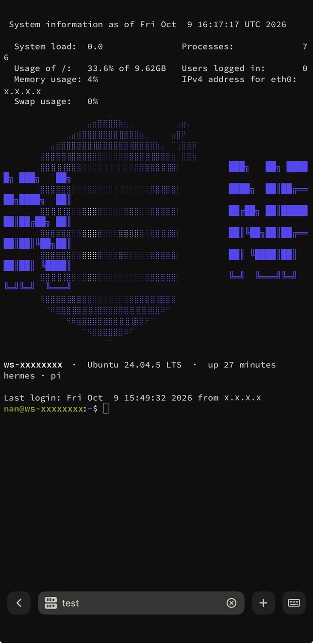 Terminal en el móvil conectada a un workspace, con la pantalla de bienvenida y el prompt